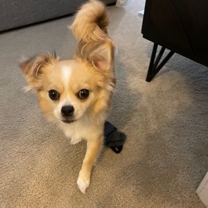 Meet your Posher, Aaron